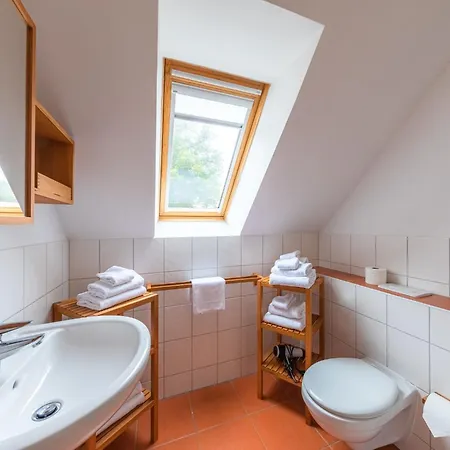 Sonnenblume_dh Ferienhaus